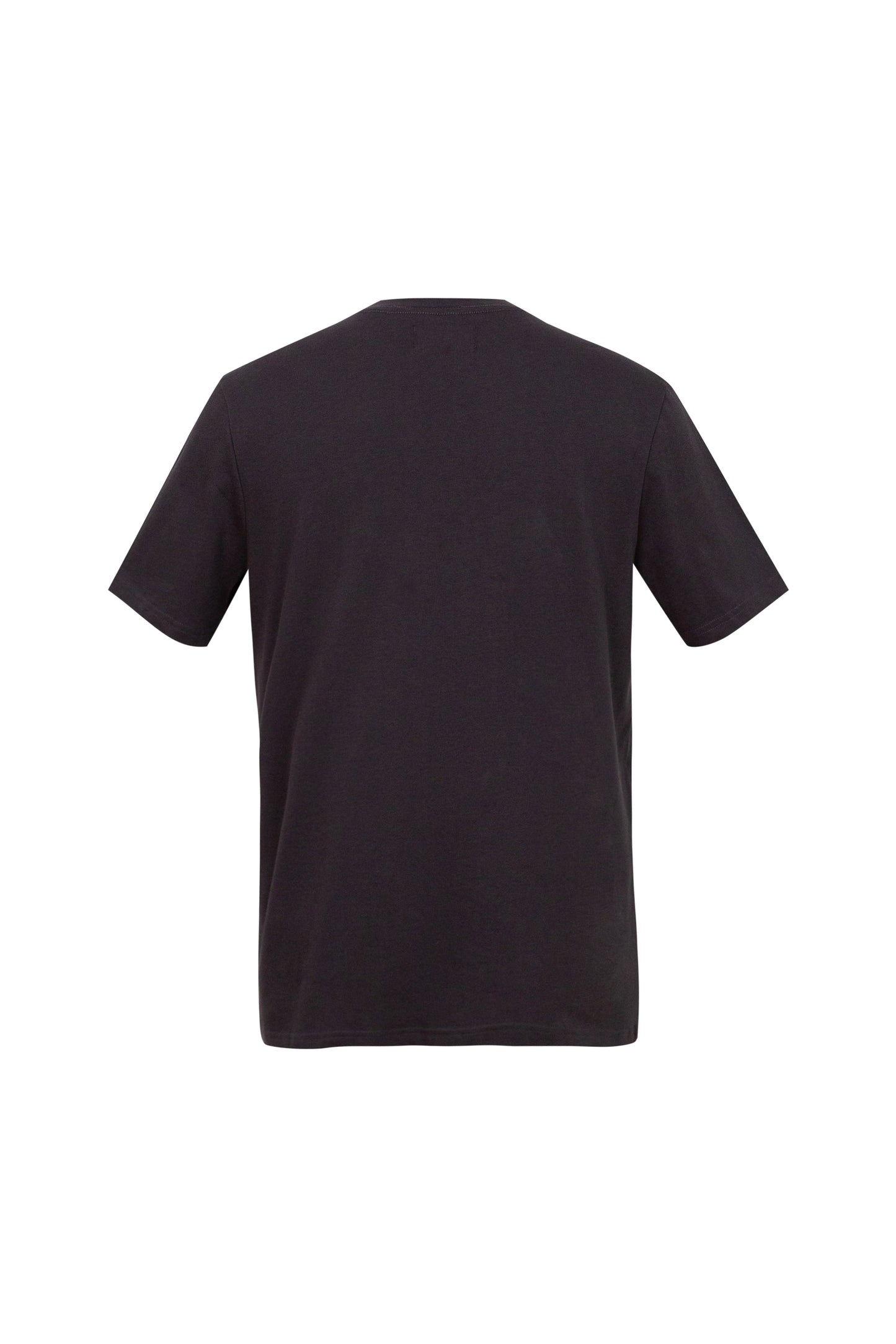 Logo t - Faded Black - back